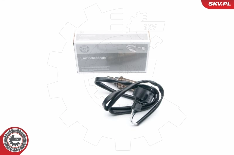 Oxygen Sensor